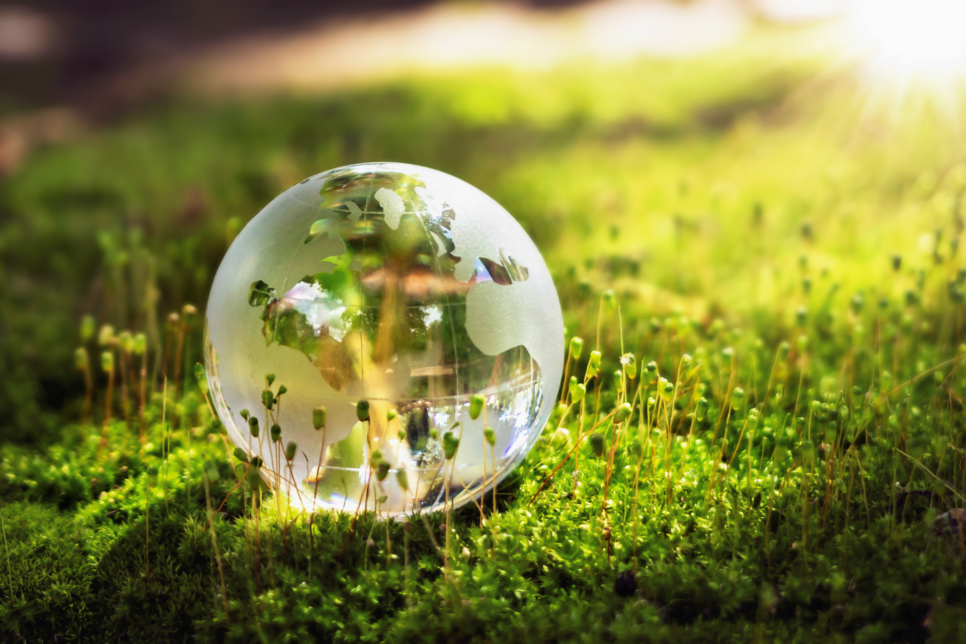 globe glass on grass with sunshine. environment concept globe glass on grass with sunshine. environment concept
