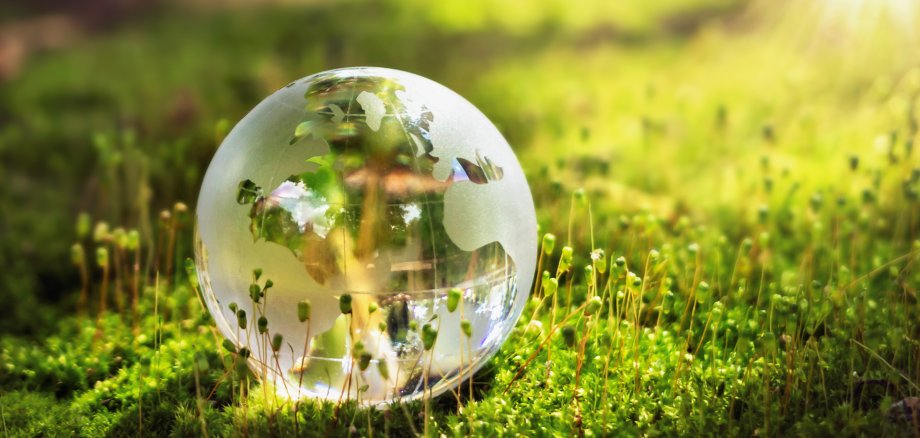 globe glass on grass with sunshine. environment concept