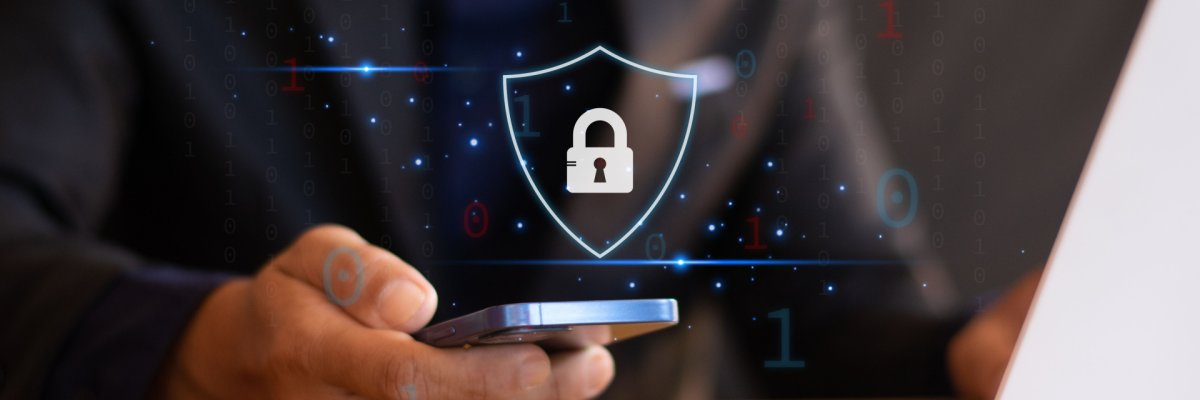 Network security, user security and privacy, secure Internet access, and data protection from hackers and network crimes