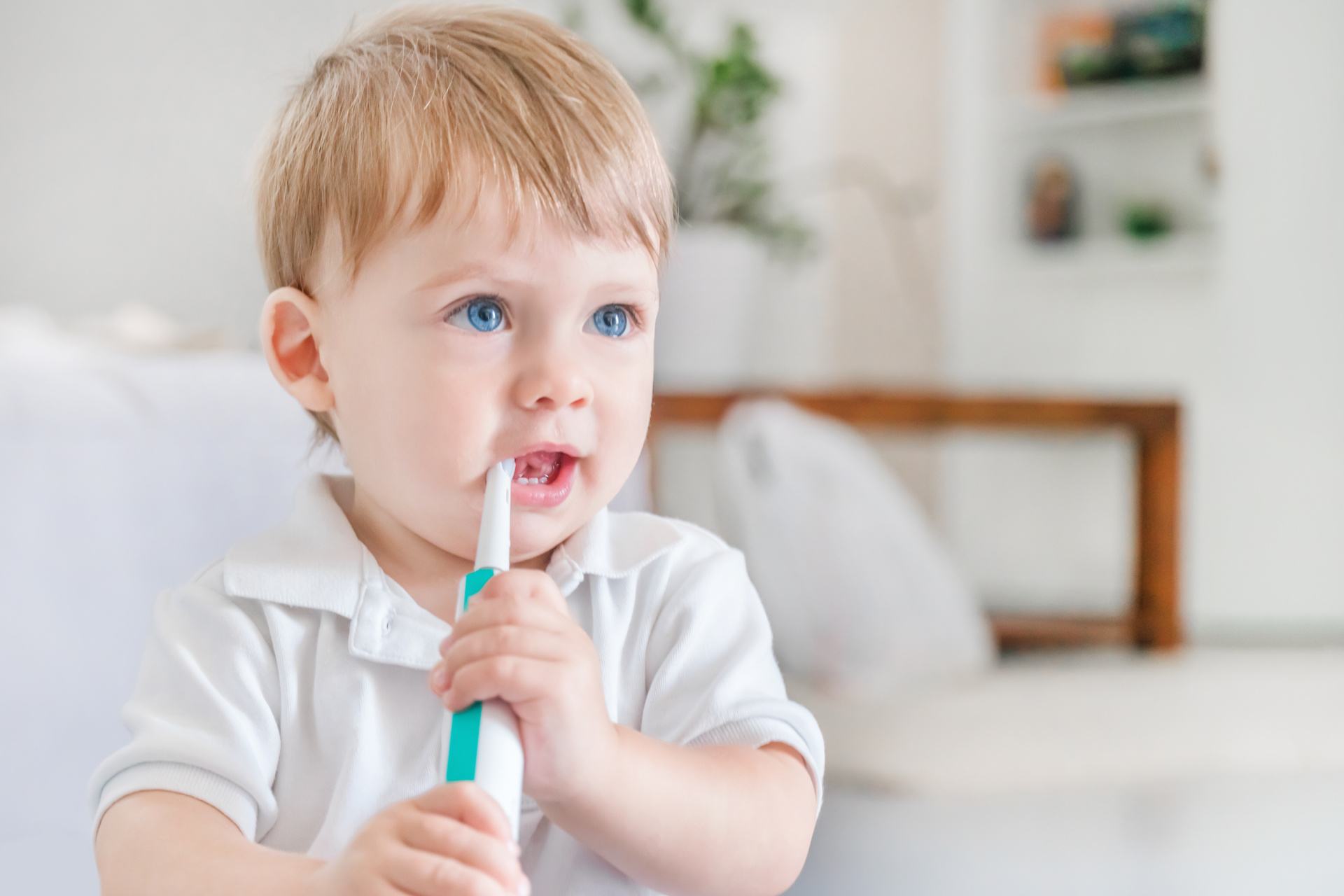 Small blue-eyed blond boy in a white polo shirt brushing his teeth with a toothbrush in the room Ein Kleinkind bei der Zahnpflege.