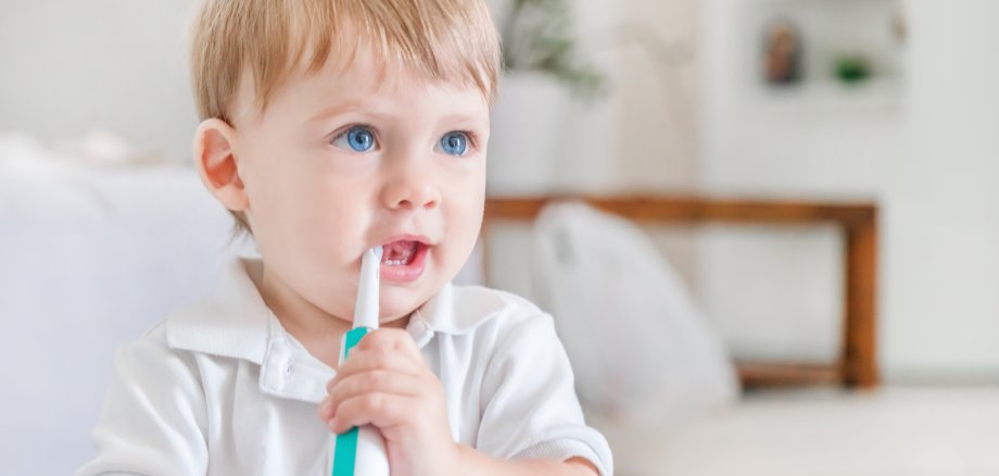 Small blue-eyed blond boy in a white polo shirt brushing his teeth with a toothbrush in the room Ein Kleinkind bei der Zahnpflege.