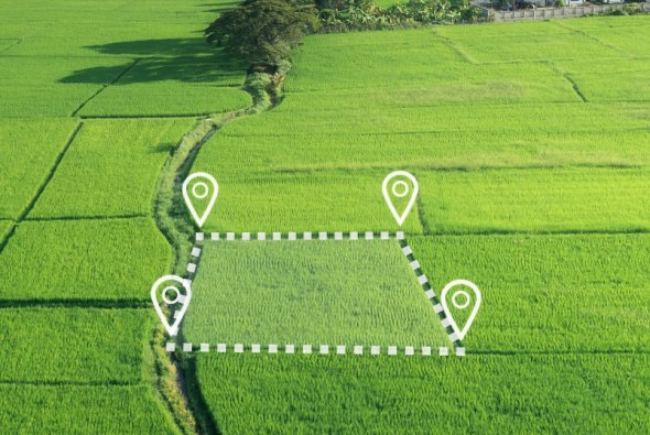 Eine Aufnahme einer freien Wiesenfläche von oben, auf welcher zwei Grundstücke eingezeichnet sind.